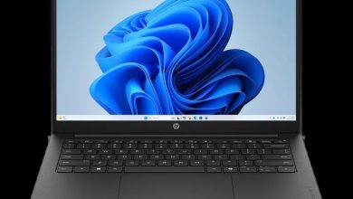 HP OmniBook 3 Laptop 14z-hy000 (C2PD0AV_1)