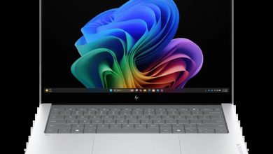 HP OmniBook X Laptop Next Gen AI 14 (D3QC0UA)