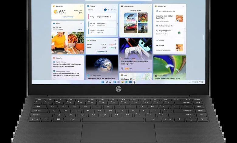 HP Laptop 14z-em000 (7F174AV_1)