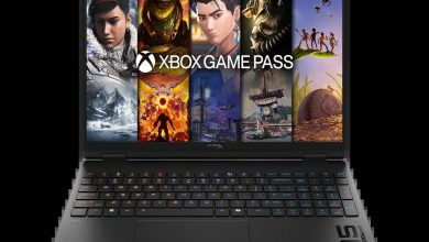 HyperX OMEN 15 inch Gaming Laptop PC 15-gb0261nr (D1UE0UA)