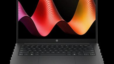 HP OmniBook 3 Laptop 14-hy0017nr (D46P9UA)