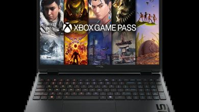 HyperX OMEN 15 inch Gaming Laptop PC 15-ga0711nr (D9KL7UA)