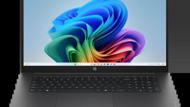 HP OmniBook 3 Laptop Next Gen AI 17 (D0BW9UA)